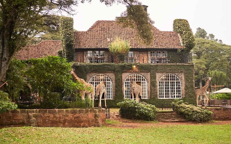 2 Day Ultimate Giraffe Experience at the Giraffe Manor 
